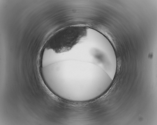 X0000094461091200711291716