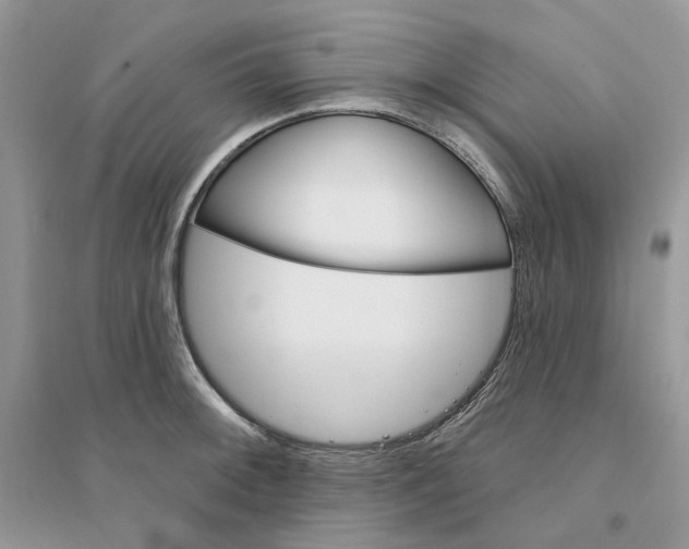 X0000094461092200711291716