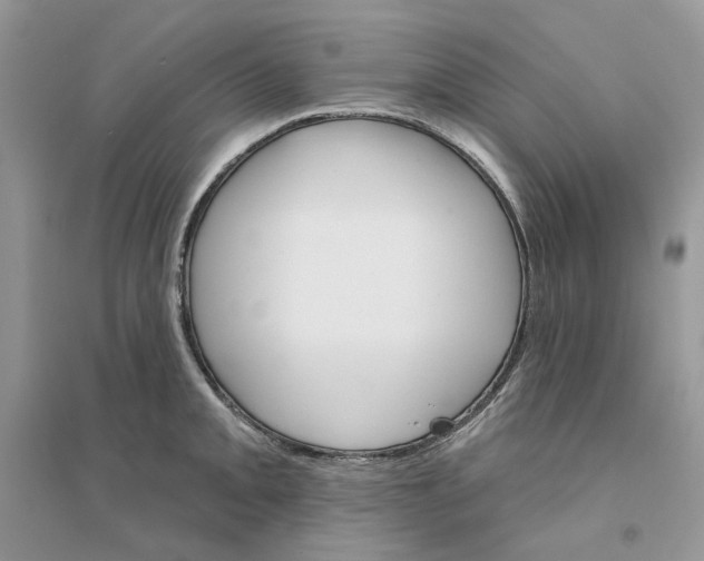 X0000094461093200711291716