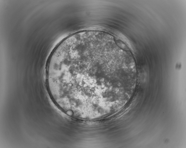 X0000094461095200711291716