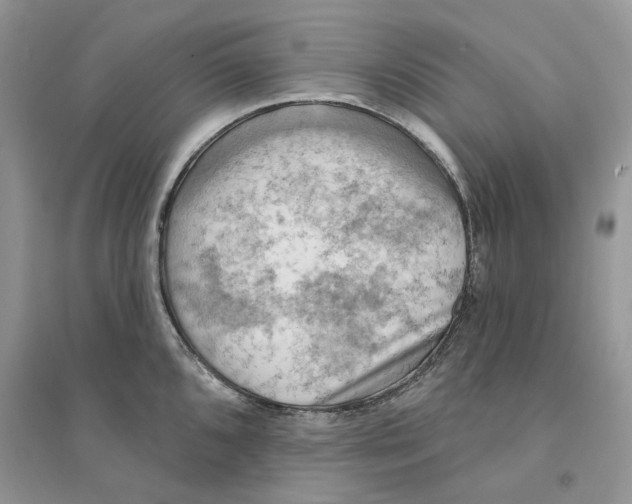 X0000094461096200711291716