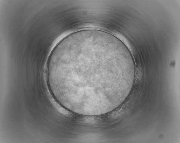 X0000094461098200711291716