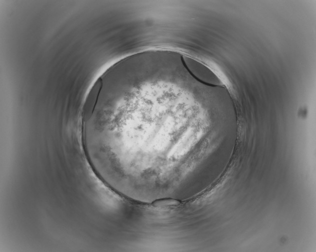 X0000094461100200711291716