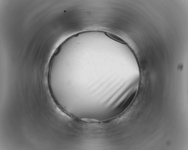 X0000094461102200711291716