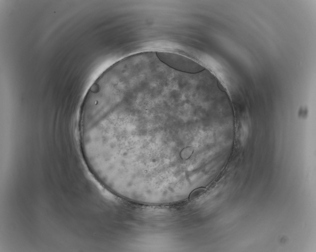 X0000094461103200711291716