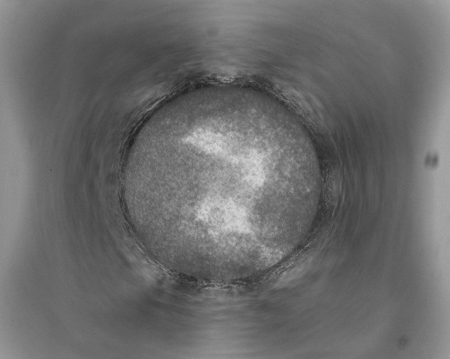 X0000094461105200711291715