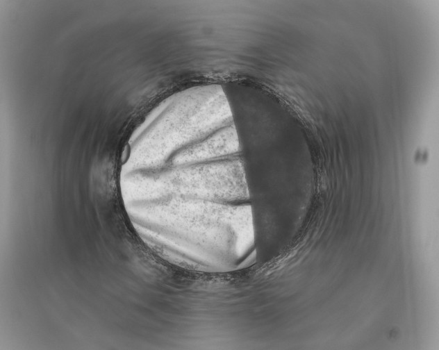 X0000094461106200711291715