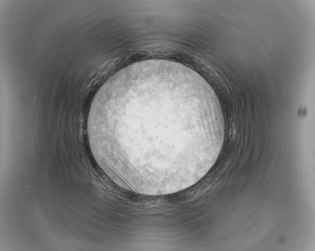 X0000094461108200711291715