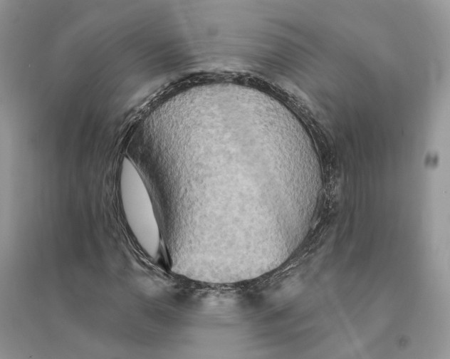 X0000094461110200711291715