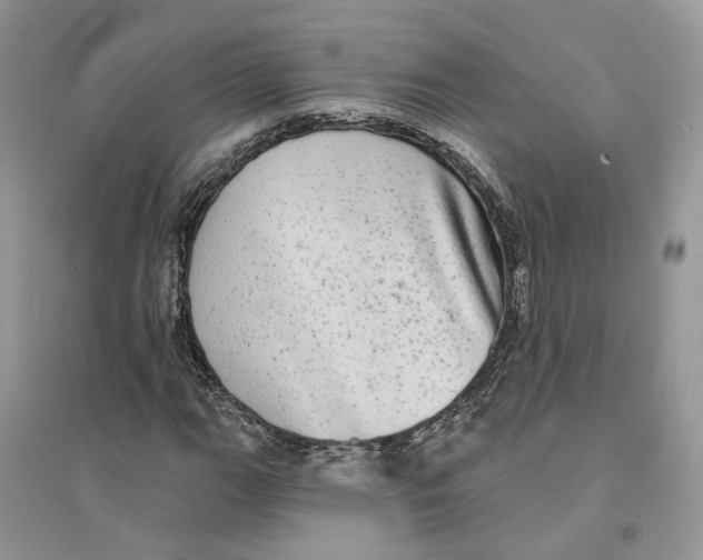 X0000094461111200711291715