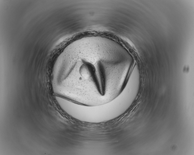 X0000094461112200711291715