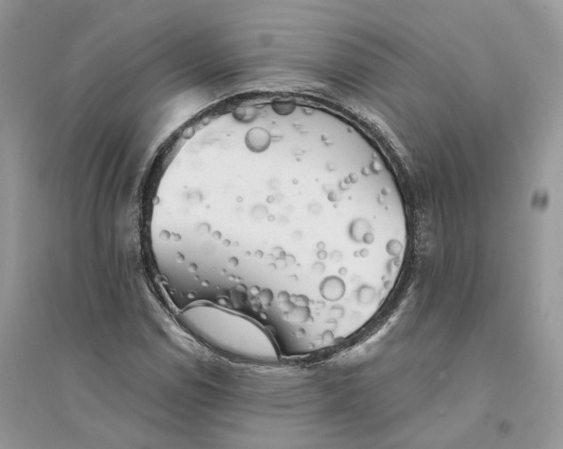 X0000094461114200711291715