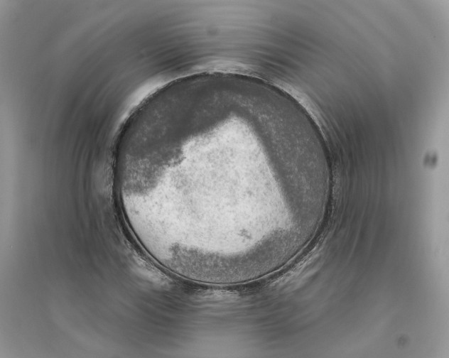 X0000094461115200711291715