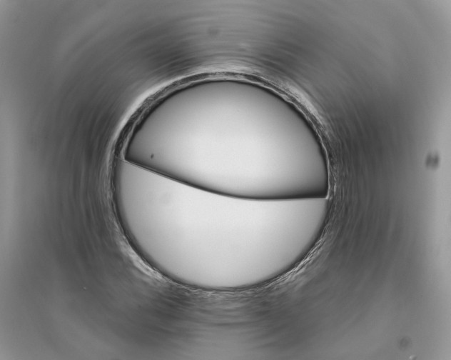 X0000094461116200711291715