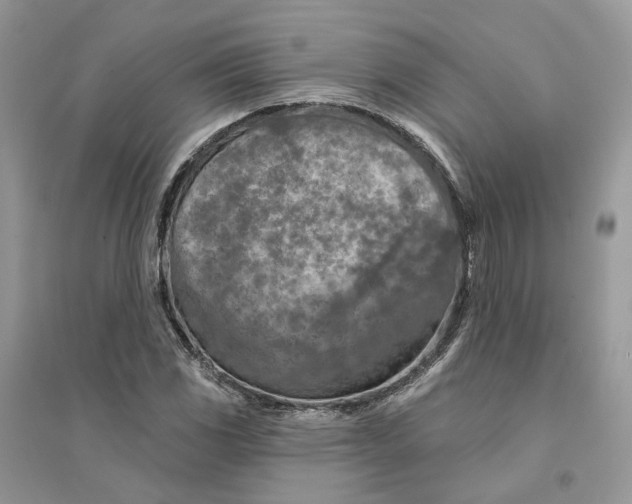 X0000094461117200711291715