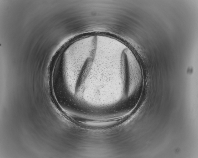 X0000094461118200711291715