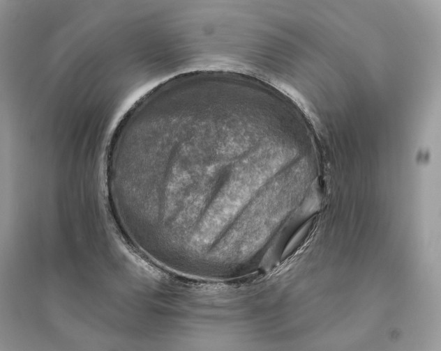 X0000094461120200711291715