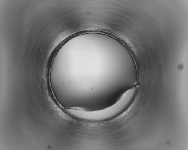 X0000094461122200711291715