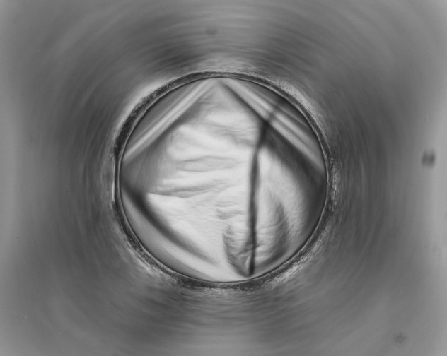 X0000094461123200711291715