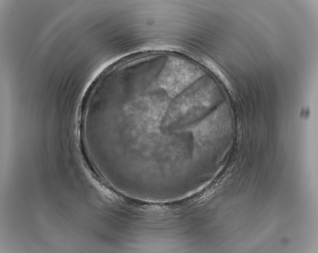 X0000094461124200711291715