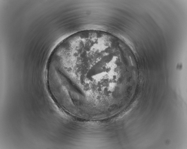 X0000094461125200711291715