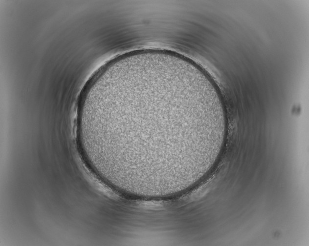 X0000094461126200711291715