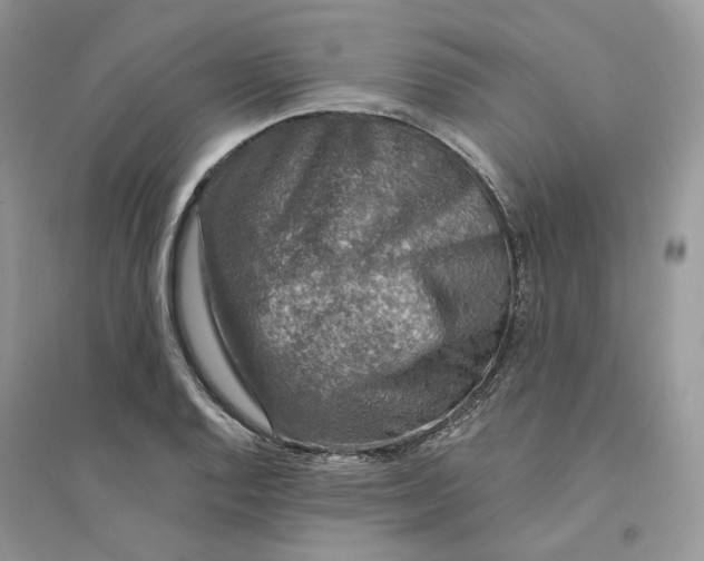 X0000094461128200711291716