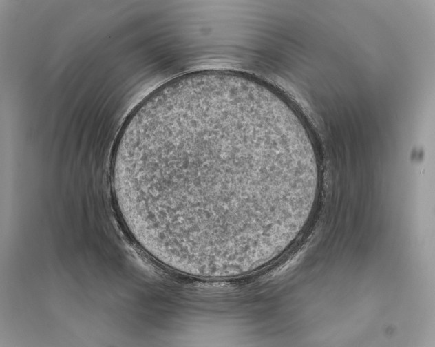 X0000094461129200711291716