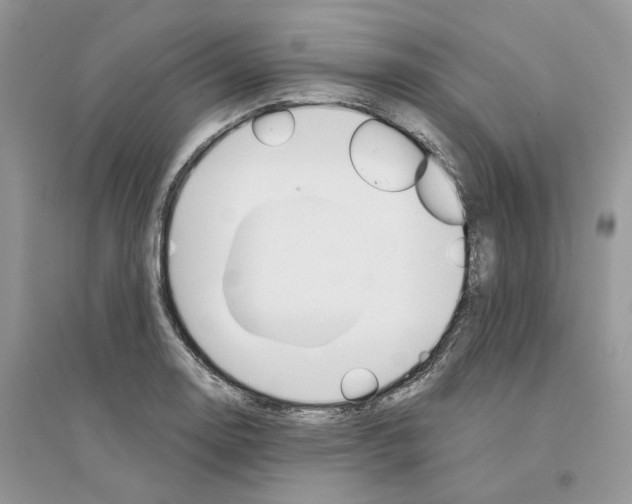 X0000094461130200711291716