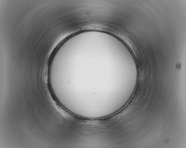 X0000094461131200711291716