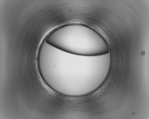 X0000094461132200711291716