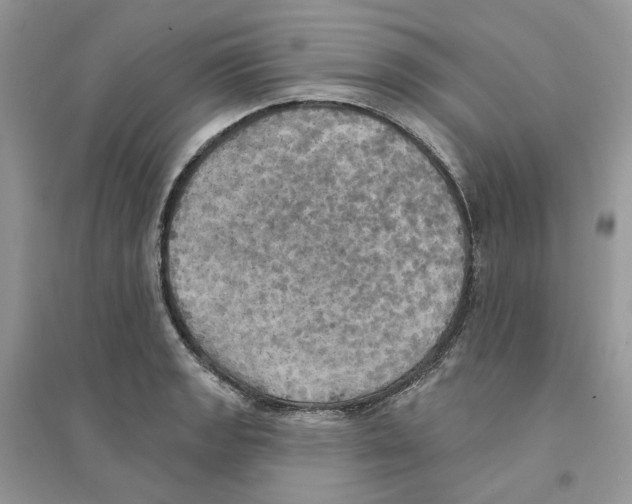 X0000094461133200711291716