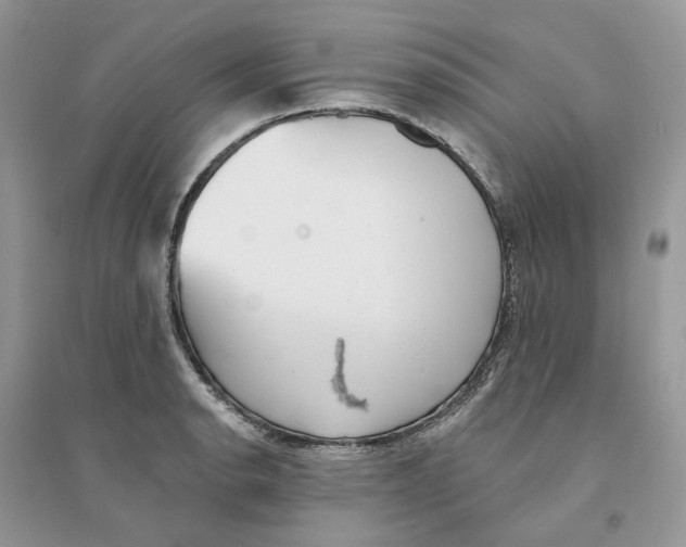 X0000094461134200711291716