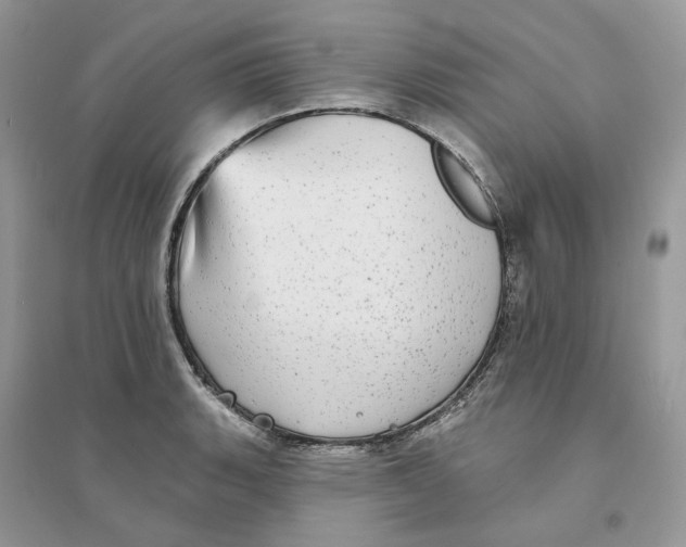 X0000094461135200711291716