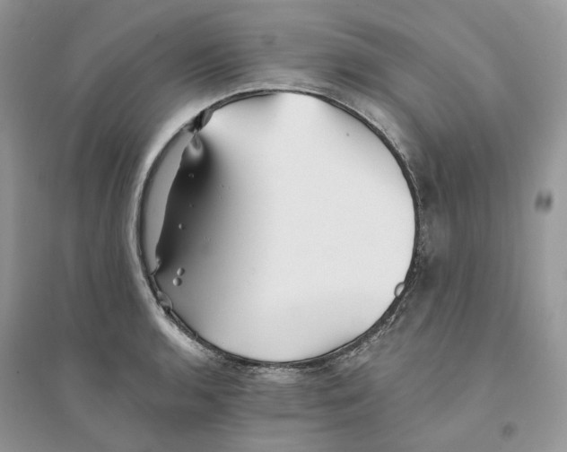 X0000094461136200711291716