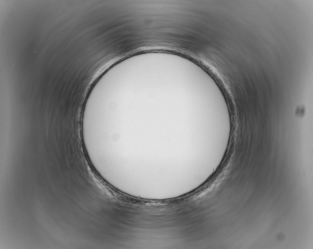 X0000094461137200711291716