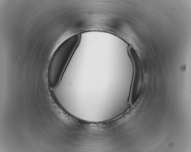 X0000094461138200711291716