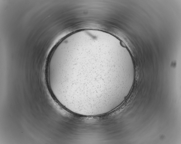 X0000094461139200711291716