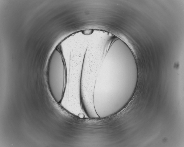 X0000094461140200711291716