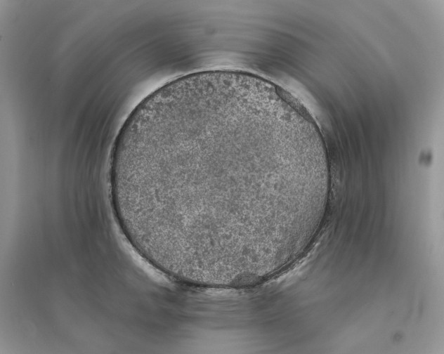 X0000094461142200711291716