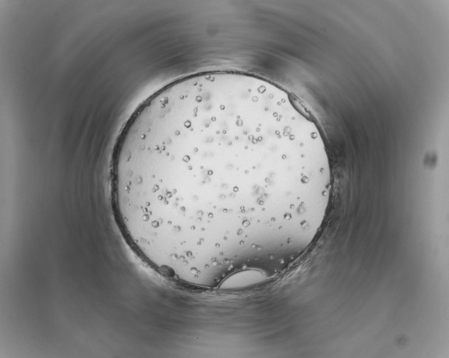 X0000094461143200711291716