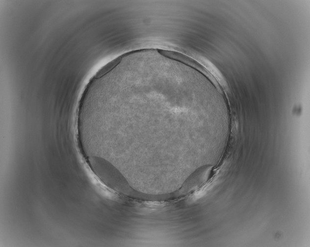 X0000094461144200711291716