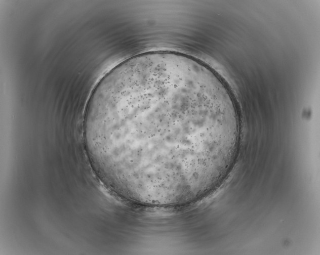 X0000094461145200711291716