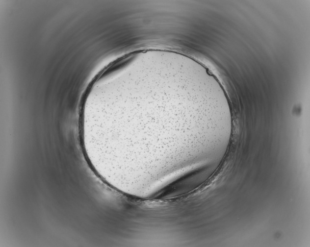 X0000094461147200711291716