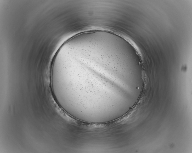 X0000094461148200711291716