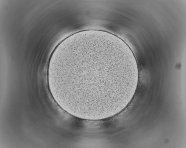 X0000094461150200711291716