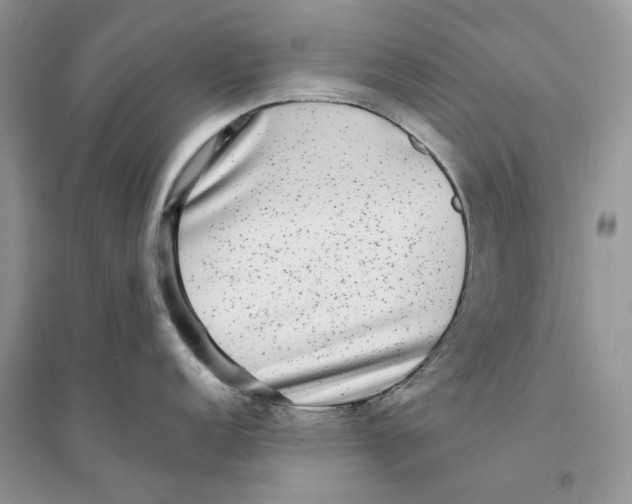 X0000094461152200711291716