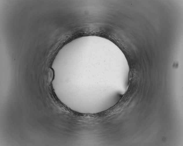 X0000094461153200711291715