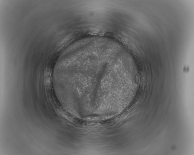 X0000094461154200711291715