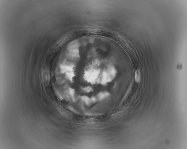 X0000094461155200711291715